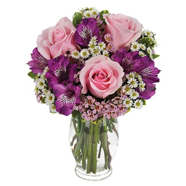 Sweetest Surprise